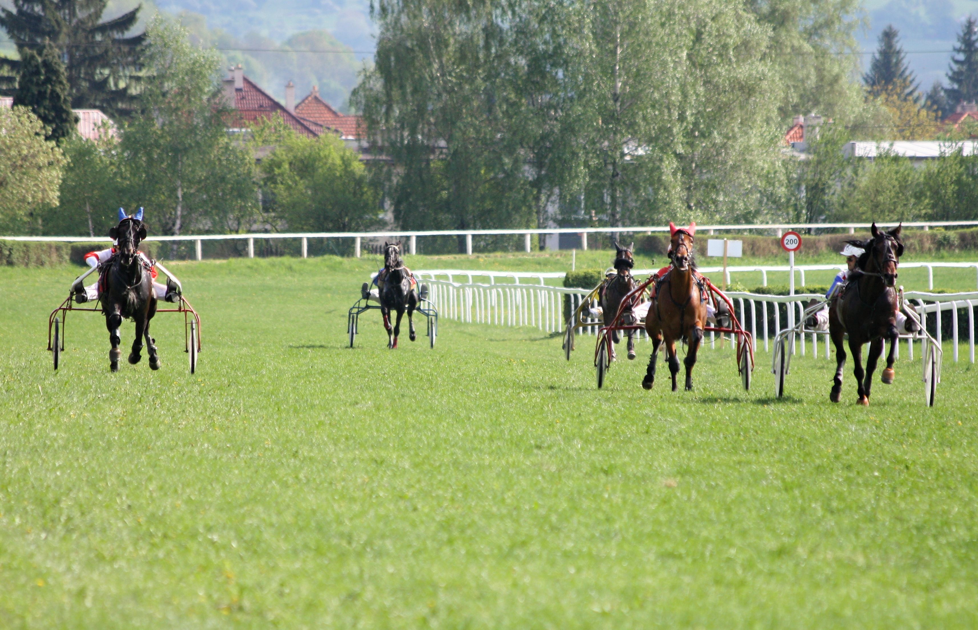 Lester_SL_maj2012_Hubnikova2