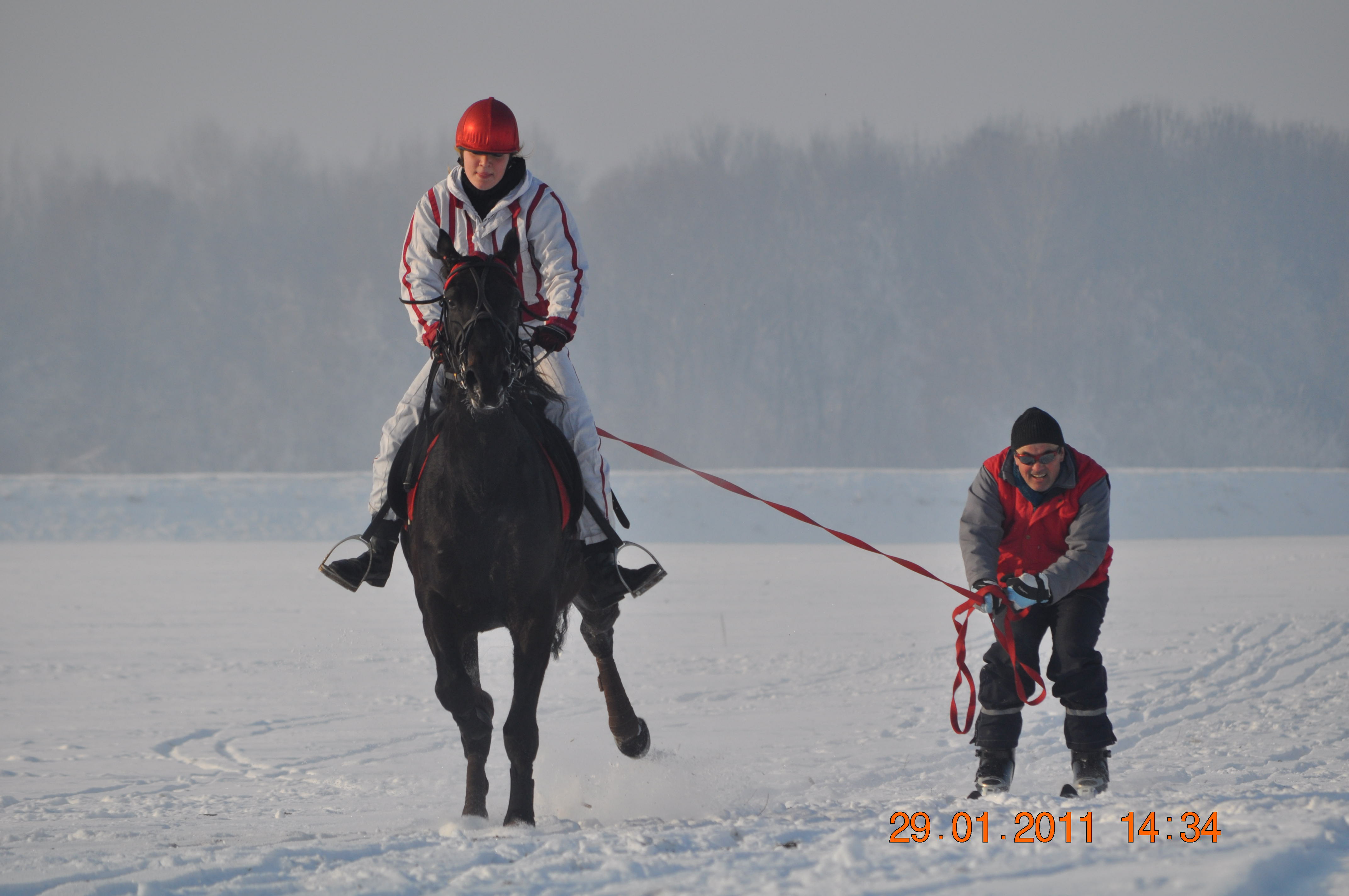 Lester_skijoring_Soporna