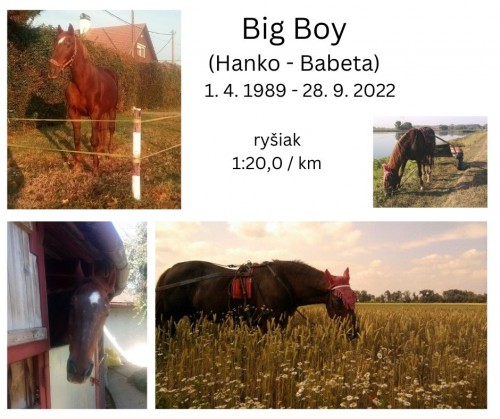 big_boy_new--2-.jpg